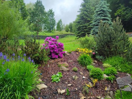 a garden with flowers and plants in a yard at Apartmá Gister ski and wellnes in Rokytnice nad Jizerou