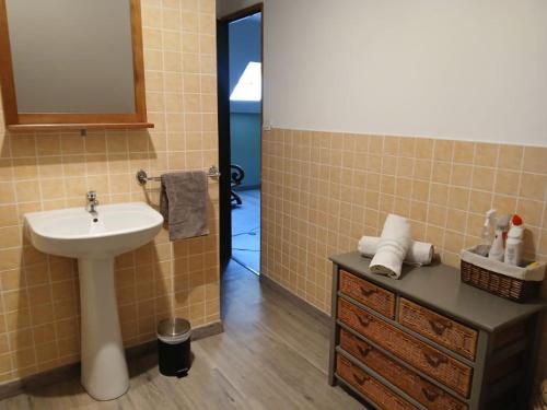 a bathroom with a sink and a counter with a mirror at Les Hortensias in La Poultière
