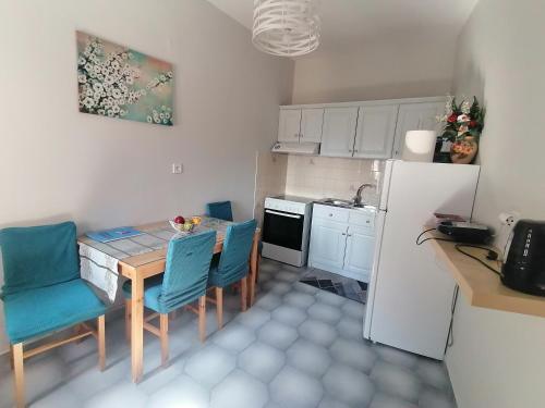Kuchyň nebo kuchyňský kout v ubytování flower garden apartment