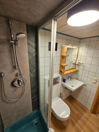 a bathroom with a shower and a toilet and a sink at Landhotel Lacknerhof in Mariapfarr
