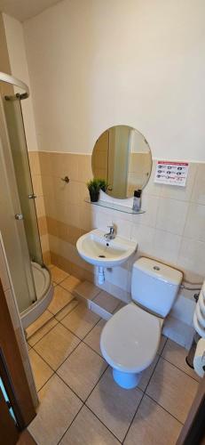 a bathroom with a toilet and a sink at Willa Miruna w Grzybowie in Grzybowo