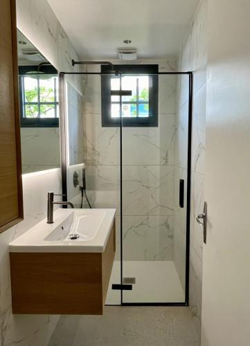 une salle de bain avec un lavabo et une douche dans l'établissement Magical Villa with Secluded Garden - Beach, Port & Centre, à Vallauris