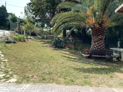 Κήπος έξω από το Oasi verde