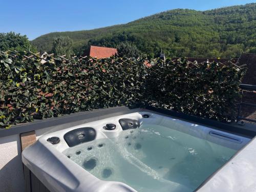 a bath tub in front of a hedge at Le Rooftop du Schlossberg in Kaysersberg