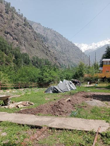 a tent in a field with mountains in the background at Yeti Stay Kasol in Jhungi