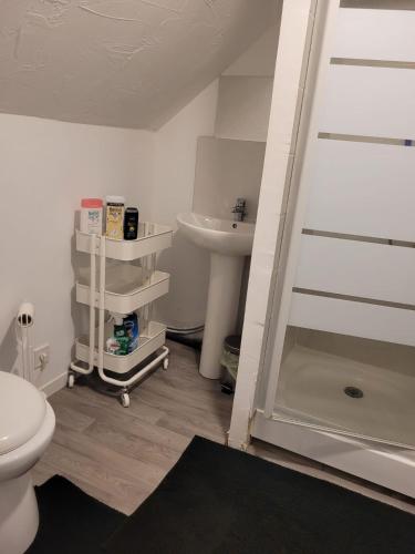 a bathroom with a toilet and a sink at Studio au cœur des écuries in La Chapelle-Fortin