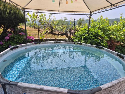 a swimming pool in a garden with an umbrella at Casa Joop Dolce far Niente in Magnano