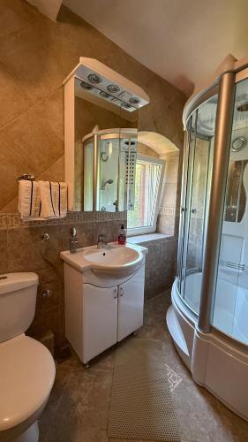 a bathroom with a sink and a toilet and a shower at Villa Sunrise in Herceg-Novi