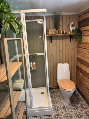 a bathroom with a toilet and a wooden wall at 1850 Old Farmhouse Retreat with jacuzzi and sauna in Eidsvoll