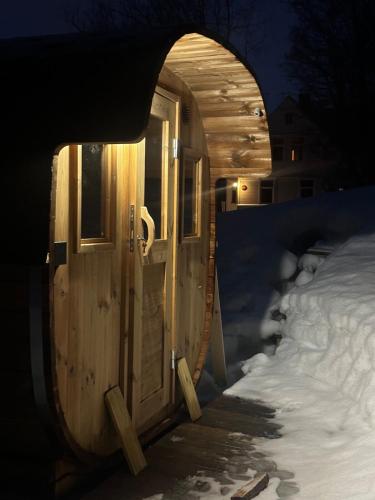 an arched doorway to a house in the snow at Lyngen Blue House in Lyngseidet