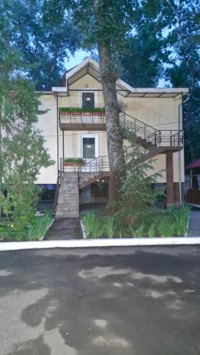 a house with a tree in front of it at Air-Moldova Dacia in Chişinău
