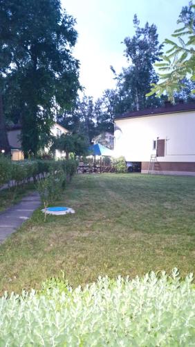 a yard with a building and a blue frisbee on the grass at Air-Moldova Dacia in Chişinău