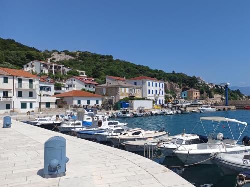 Apartment & studio Elizabet