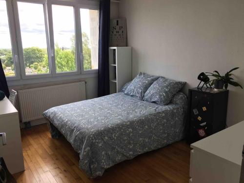 une chambre avec un lit et deux fenêtres dans l'établissement Port à pieds appartement lumineux et spacieux avec parking, à Vannes