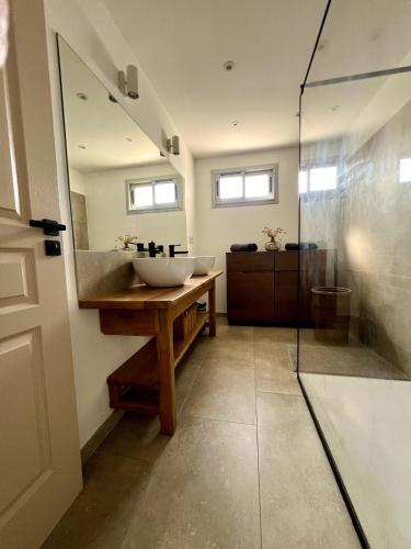 une salle de bain avec un lavabo et une douche en verre dans l'établissement Lea's cozy nest with a sea-mountain view, à Saint-Laurent-du-Var