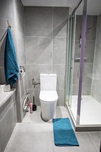 a bathroom with a toilet and a shower with a blue rug at Fanta flat France Suisse in Saint-Louis