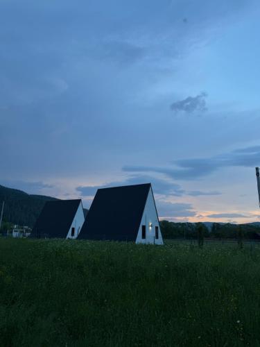 a group of barns in a field of grass at MOUNTAINS HUT in Mykulychyn