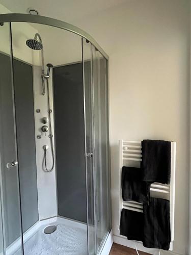 une douche avec une porte vitrée dans une salle de bain dans l'établissement Cozy garden house, à Châteaubriant