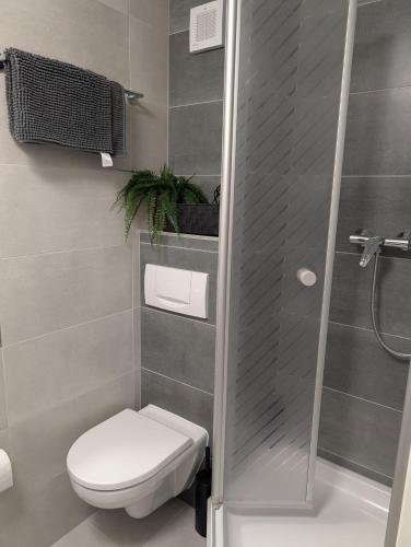a bathroom with a toilet and a shower at TOP KaVi apartments #7, Pool, Sauna und Fitness FREE, 2-Zimmer in Sankt Englmar