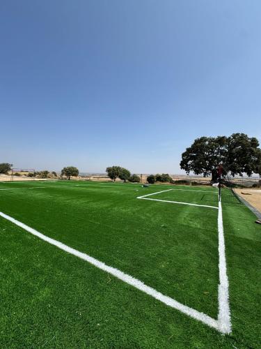 an empty soccer field with a tree in the background at Torre Medieval de Queralt & Spa in Concabella
