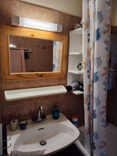 une salle de bain avec un lavabo et un miroir dans l'établissement Studio vue mer - La Turballe, à La Turballe