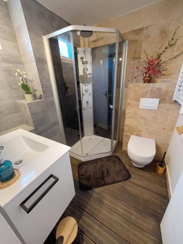 une salle de bain avec une douche, des toilettes et un lavabo dans l'établissement Maison à la campagne, à Le Masnau-Massuguiès