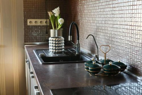 Dapur atau dapur kecil di Guesthouse Forest Soul