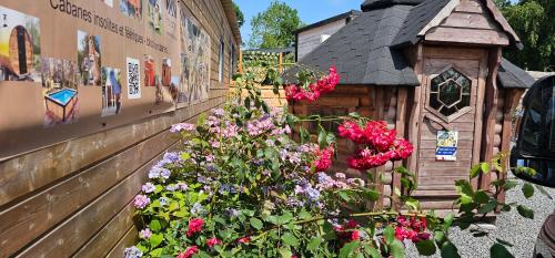a group of flowers in front of a house at Flips et mousse in Gembloux