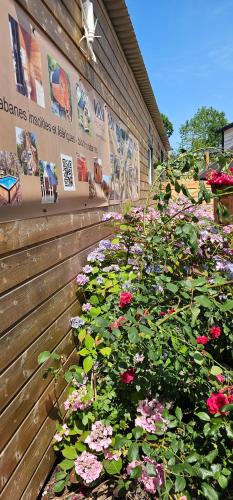 a garden of flowers on the side of a building at Flips et mousse in Gembloux