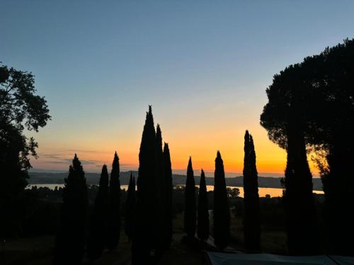 a sunset seen through a fence with cypress trees at Terracqua & Locanda Granducato in Chiusi