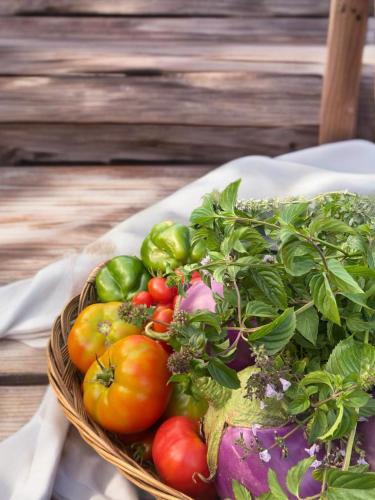 a basket of tomatoes and other vegetables on a table at Terracqua & Locanda Granducato in Chiusi