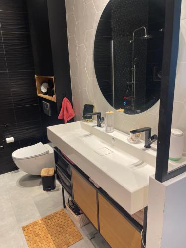 une salle de bain avec un lavabo, des toilettes et un miroir dans l'établissement Apparemment luxueux, à Biot