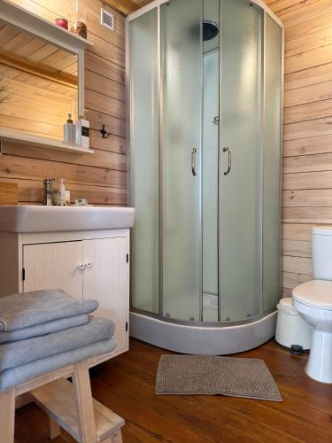 a bathroom with a shower and a toilet at Vila Preiloja in Neringa