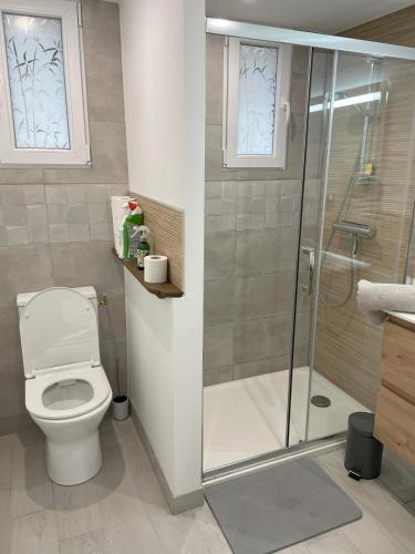 une salle de bain avec toilettes et douche en verre dans l'établissement Maison de charme 4 personnes, à Montvalent