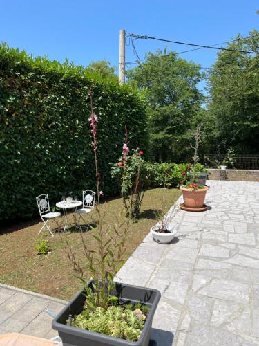 a garden with two chairs and a table and plants at Apartmani Foresta in Kras