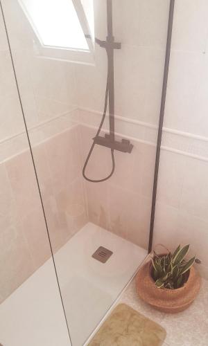 a shower with a glass door next to a plant at Mi Casa Su Casa in Montijo