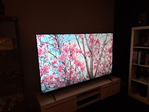 a flat screen television with a tree on it at Hjemme koselig og sentralt leilighet in Fredrikstad
