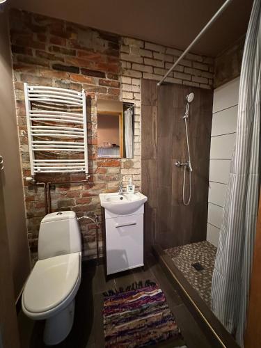 a bathroom with a toilet and a sink and a shower at U Zgagi in Mikoszewo