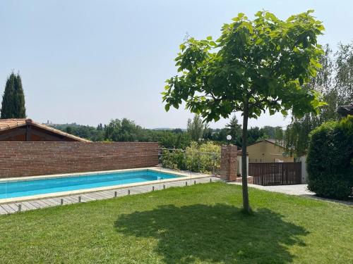 a tree in a yard next to a swimming pool at Sous les chênes de Lavaur - détente et télétravail in Lavaur