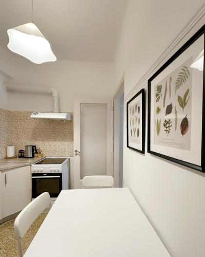 Acropolis Nest