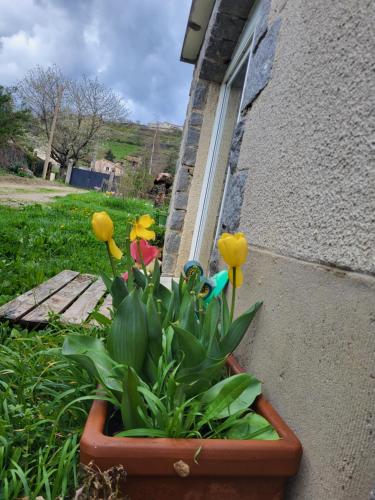 Photo de la galerie de l'établissement L Appart au vert, à Villevocance