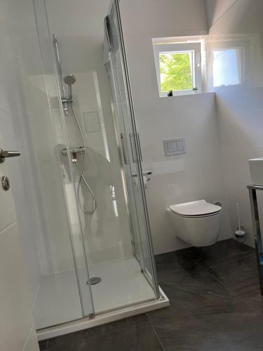 a bathroom with a shower and a toilet at Apartmani Foresta in Kras