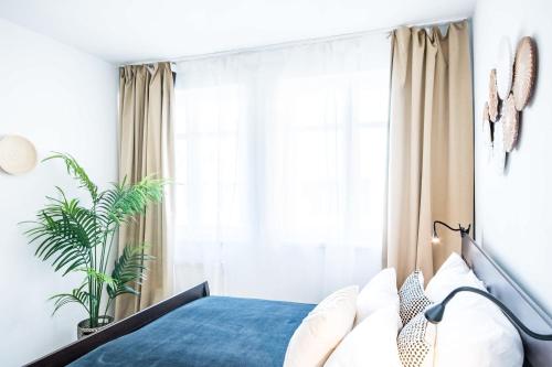 Central - Comfy- Easy Sleep