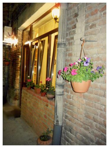 a group of potted plants on the side of a building at Tbilisi Apartment in Tbilisi City