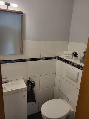a bathroom with a white toilet and a sink at Ferienwohnung Am Brombachtal in Simmerath