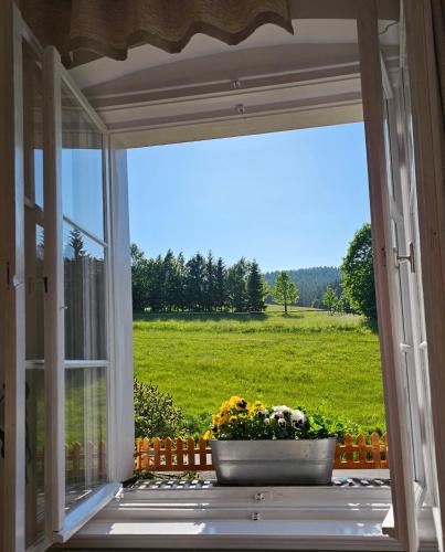 an open window with a pot of flowers and a field at Graniczna 21 - w Górach Sowich in Ober Wüstegiersdorf