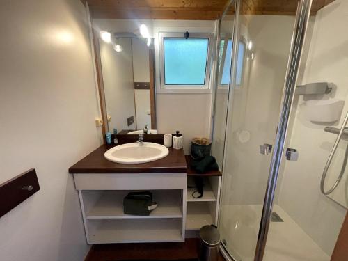 une salle de bain avec un lavabo et une douche dans l'établissement Chalet Cosy 7 pers Nature avec Piscine, à Beynat