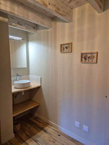 une salle de bain avec un lavabo et un miroir dans l'établissement Magnifique maison de famille rénovée, à Saint-Romain