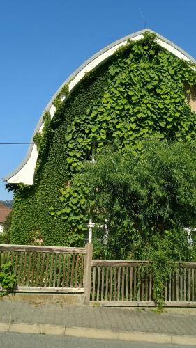 Green Point - 25 min to the center by tram