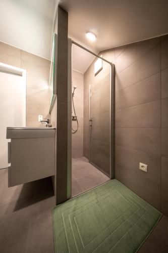 a bathroom with a shower and a sink with a green rug at Naturpark Gîte Al Schoulwunneng Sir in Boulaide